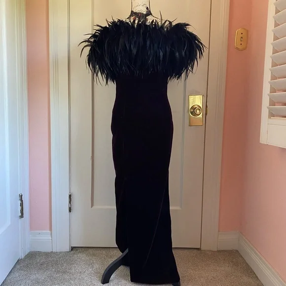Vintage Velvet Gothic Gown with Feather Neckline - Picture 5 of 13